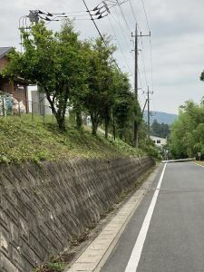 除草後